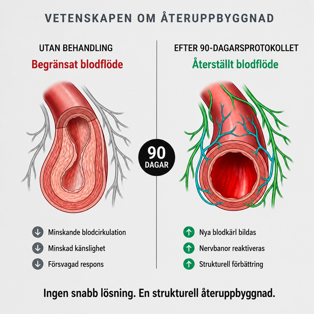 АpexDrive — Dual-Therapy System